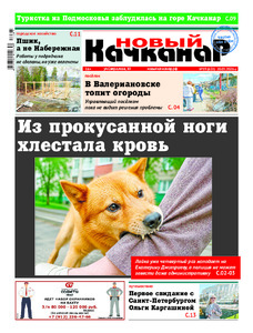 Эскиз