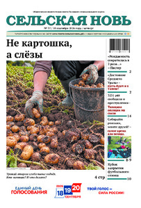 Эскиз