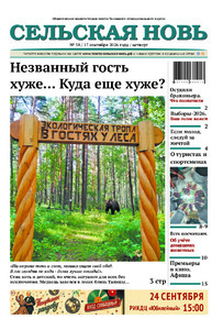 Эскиз